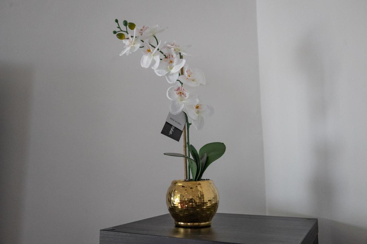London - 4 Bed - Sleeps 8 - Garden - Pet Friendly Villa Ngoại thất bức ảnh